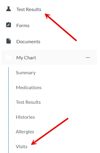 10. Step ten of patient portal medical records retrieval Step Ten: Under Test Results, click the + next to My Chart and choose Visits.