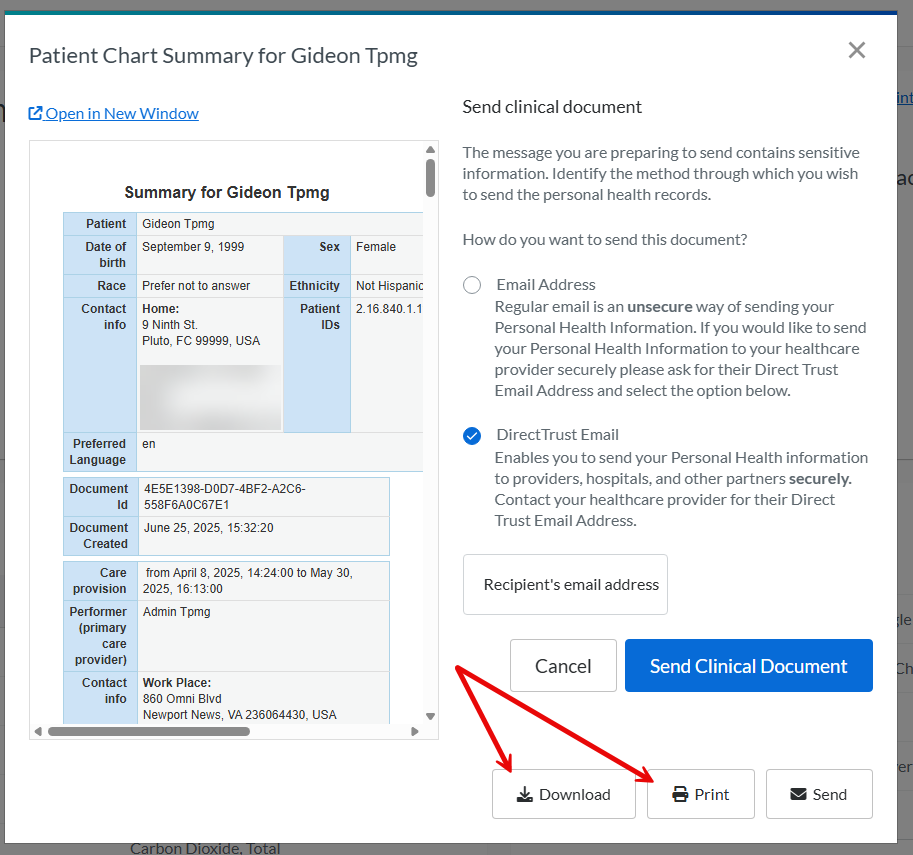 9. Step nine of patient portal medical records retrieval Step Nine: From the Chart Summary window, choose send, download, or print.